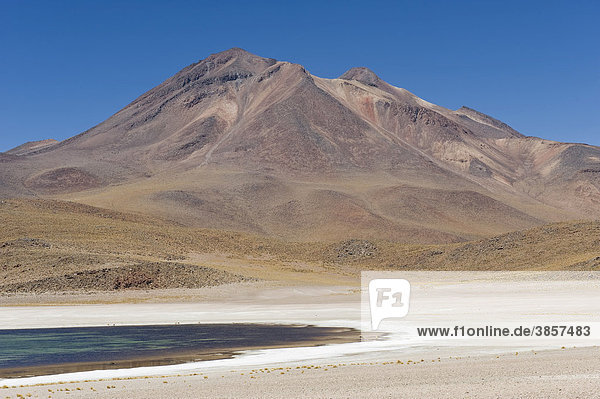 Laguna Miscanti and Miniques volcano  Atacama salt flat  Atacama Desert  Chile  South America