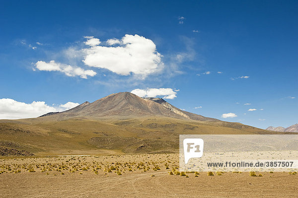 Bolivianische Altiplano Landschaft  Potosi  Bolivien  Südamerika