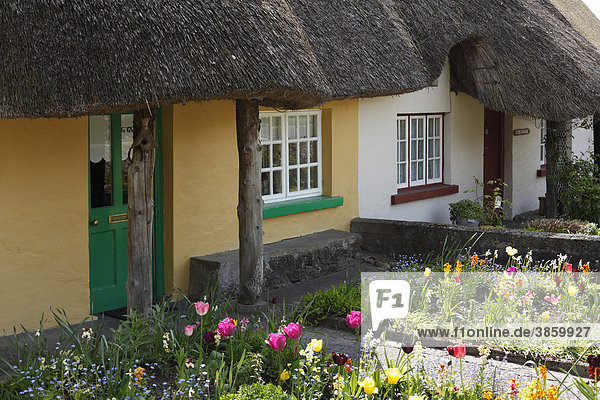 Häuser mit Reetdach  Adare  County Limerick  Irland  Britische Inseln  Europa