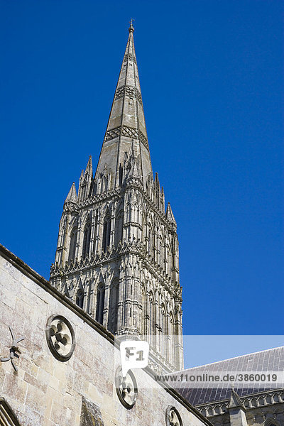 Salisbury Cathedral  Salisbury  Wiltshire  England  Großbritannien  Europa