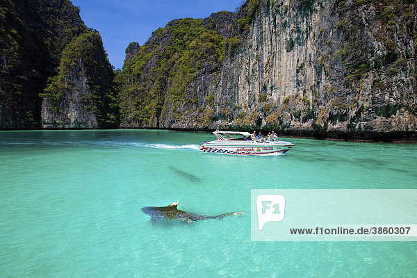 Motoryacht in einsamer Bucht bei Ko Phi Phi Island  Composing Haie  Phuket  Thailand  Südostasien