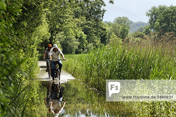 2 people on bicycles riding through flooded pathway  lake Chiemsee  Chiemgau  Upper Bavaria  Germany  Europe