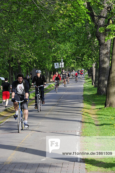 Cycling through the Parc La Fontaine park  Montreal  Quebec  Canada