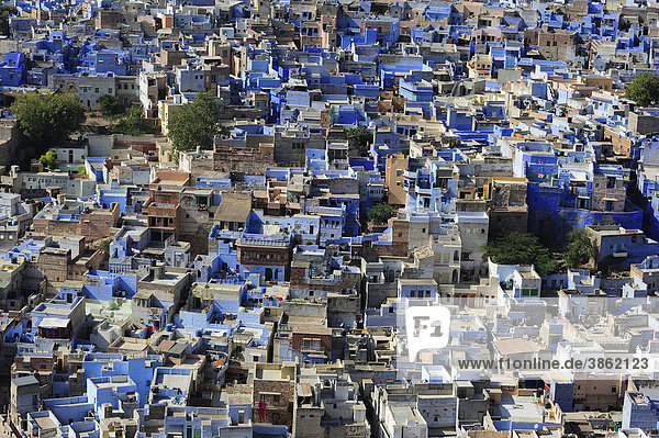 Brahmapuri  blaue Stadt  Brahmanenstadt  Stadtteil von Jodhpur  Rajasthan  Indien  Asien