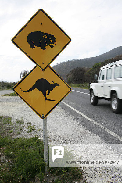 across  and  animal  animals  area  areas  Attention  Australia  Australian  automobile  automobiles  avenue  avenues  car  cars  caution  cautionary  conservation  country  cross  crosses  crossing  crossings  danger  dangerous  dangerously  dangers  day  daylight  daytime  during  exterior  exteriors  go  goes  going  highway  highways  in  kangaroo  kangaroos  Macropodidae  motor  motorcar  motors  national  National  natural  nature  nobody  notice  notices  outdoor  over  Park  park  parks  pass  passing  photo  photos  preserve  preserves  Promontory  reserve  reserves  road  road-sign  road-signs  roads  safety  sanctuaries  sanctuary  shot  shots  sign  signboard  signboards  signs  street  streets  the  traffic  traffic-sign  traffic-signs  traverse  traverses  traversing  vehicle  vehicles  Victoria  Vombatidae  warn  warning  warnings  warns  wildlife  Wilsons  wombat  wombats