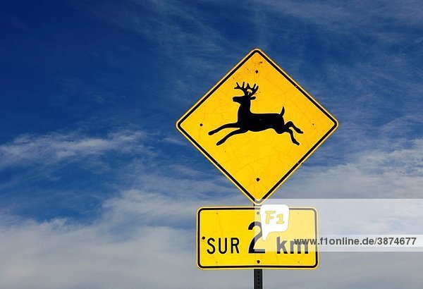 Yellow and black warning sign for mooses  distance indication in French  Province of Quebec  Canada