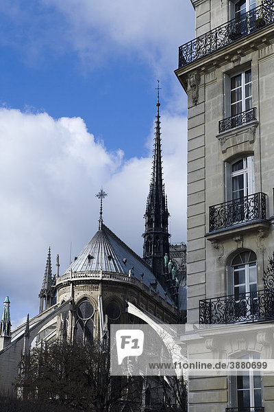 Kathedrale Notre Dame  Paris  Frankreich