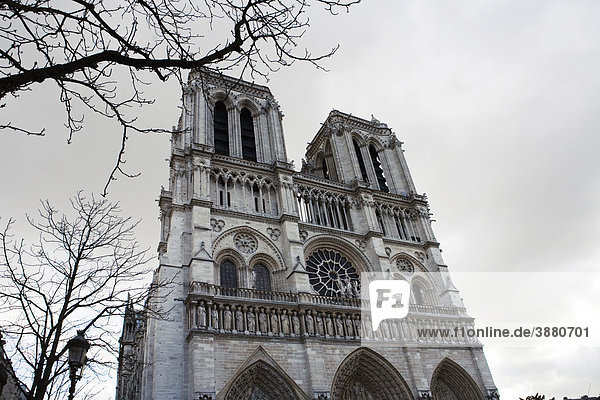 Kathedrale Notre Dame  Paris  Frankreich