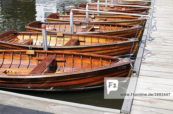 Ruderboote auf der Außenalster in Hamburg  Deutschland  Europa