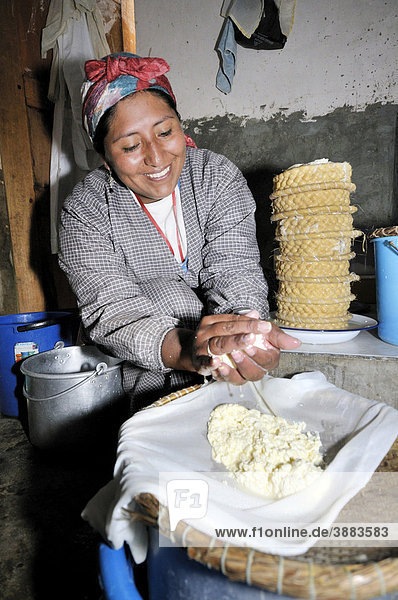 Production of fresh cheese in the Penas Valley  Departamento Oruro  Bolivia  South America