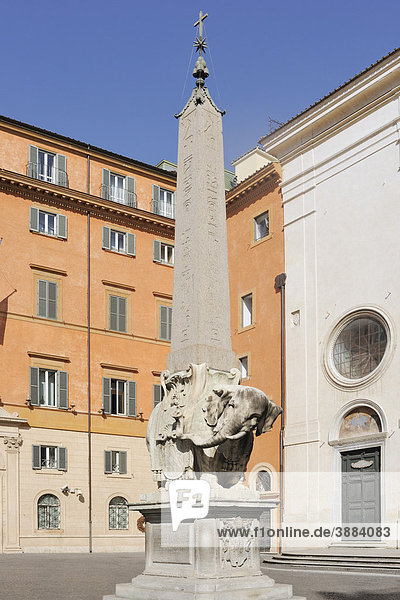 Elefant von Bernini vor der Kirche S. Maria sopra Minerva  Rom  Latium  Italien  Europa