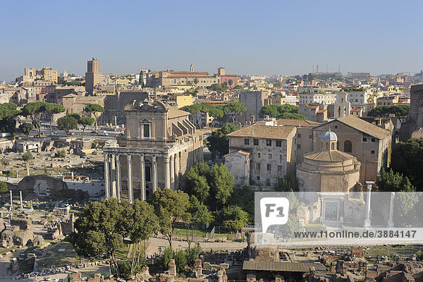 Blick vom Palatin auf das Forum Romanum  Rom  Latium  Italien  Europa