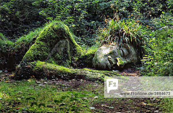 Spirit of the Wood as a garden sculpture  Heligan  Lost Gardens of Heligan  Cornwall  United Kingdom
