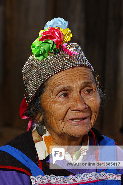 Mapuche woman  shaman  Bio-Bio region  Chile  South America