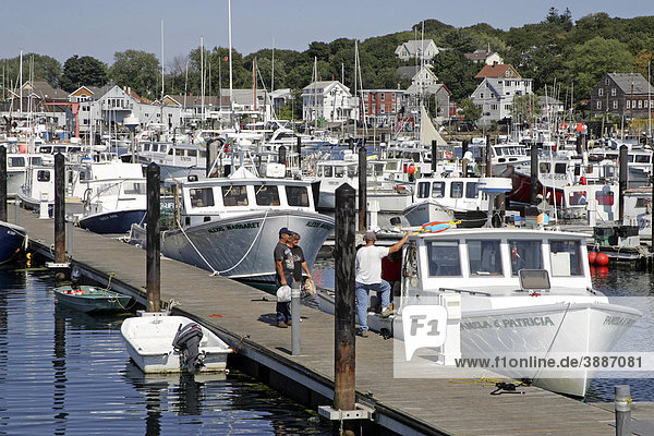 Fishing fleet  Gloucester  Massachusetts  New England  USA