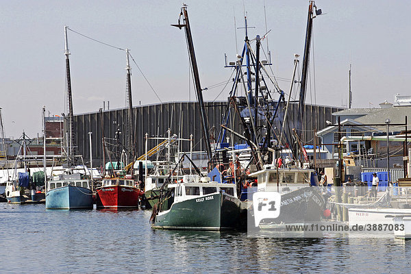 Fischereiflotte  Gloucester  Massachusetts  New England  USA
