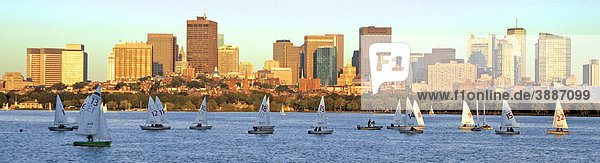 Skyline  Segelboote auf dem Charles River  Boston  Massachusetts  New England  USA