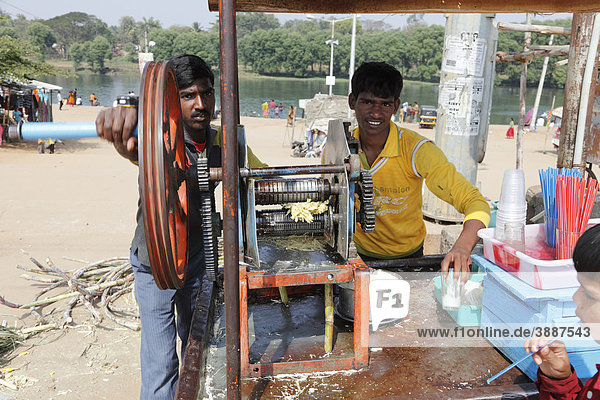 Young men operating sugar cane juice squeezer  Nanjangud  Karnataka  South India  India  South Asia  Asia