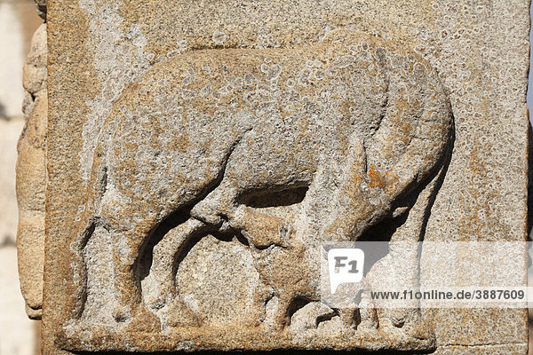 Relief  säugendes Kalb  Jain-Tempel auf Vindyagiri Hill  Shravanabelagola  Sravanabelgola  Shravana Belgola  Karnataka  Südindien  Indien  Südasien  Asien