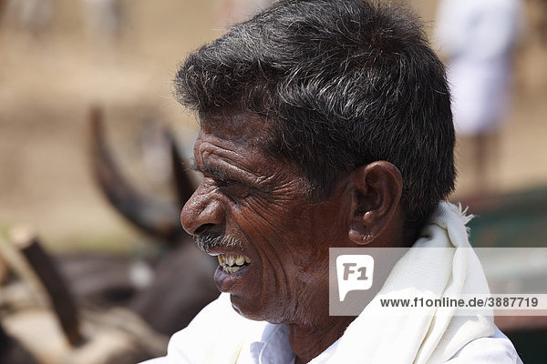 Older man  south of Hunsur  Karnataka  South India  India  South Asia  Asia