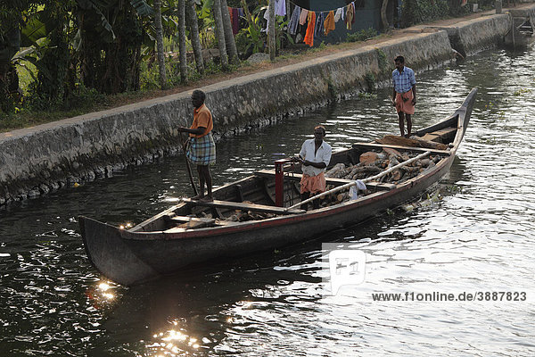 Transportboot mit Ladung Brennholz  Backwaters bei Alleppey  Alappuzha  Kerala  Südindien  Indien  Südasien  Asien