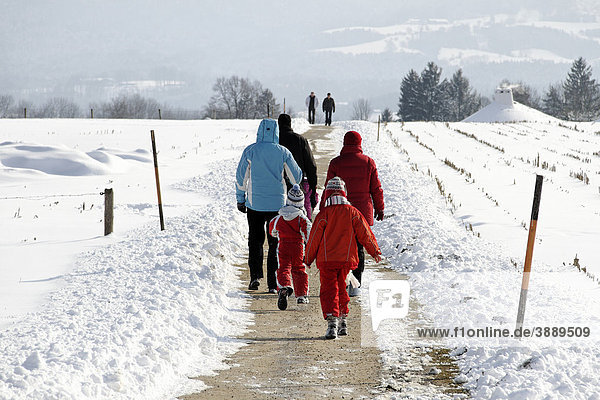 Family walking in a winter landscape  Chiemgau  Upper Bavaria  Germany  Europe