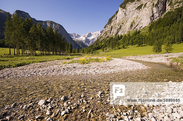 Enger Bach  beim Loachwald  dahinter Spritzkarspitze und Grubenkarspitze  Engtal  Karwendelgebirge  Tirol  Österreich  Europa