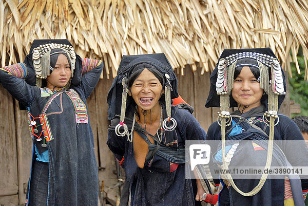 Gruppenaufnahme  Frauen der Akha Phixor Ethnie lachen  traditionelle Kleidung gefärbt mit Indigo  Kopfschmuck mit Silbermünzen  Dorf Ban Phapoun Mai  Distrikt und Provinz Phongsali  Laos  Südostasien  Asien