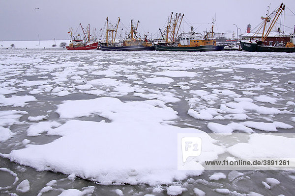 Fischkutter im zugefrorenen Hafen von Büsum an der Nordseeküste im Winter bei Schneetreiben  Kreis Dithmarschen  Schleswig-Holstein  Deutschland  Europa