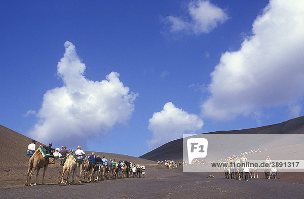 Camel ride  camel caravan in the Timanfaya National Park  tourists  volcanoes  lava  Lanzarote  Canary Islands  Spain  Europe