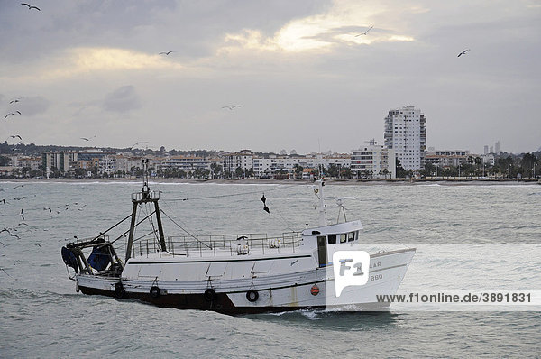 Kleines Fischerboot  Abend  Altea  Costa Blanca  Provinz Alicante  Spanien  Europa