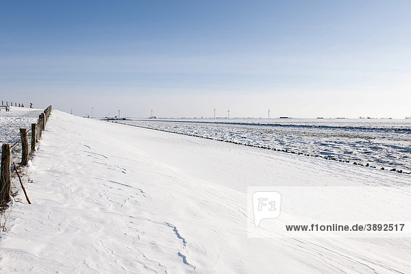 Tief verschneite Nordseelandschaft im Deichvorland  Husum  Nordsee  Nordfriesland  Schleswig Holstein  Norddeutschland  Europa