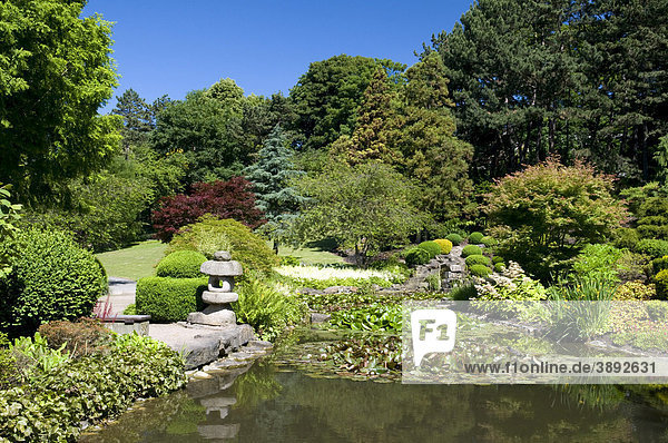 Japanischer Garten im Westfalenpark  Dortmund  Ruhrgebiet  Nordrhein-Westfalen  Deutschland  Europa