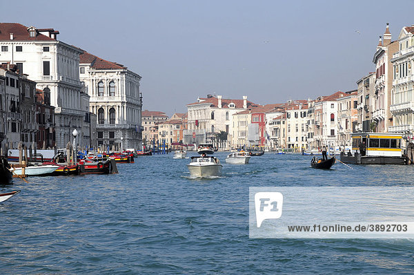 Canal Grande  Venedig  Venetien  Italien  Europa