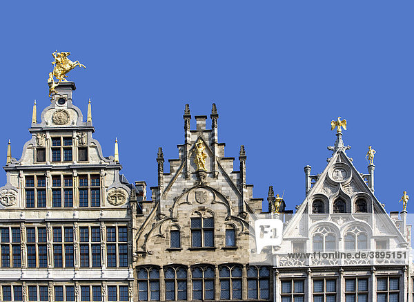 Fassaden der Gildehäuser auf dem Grote Markt  Antwerpen  Flandern  Belgien  Europa
