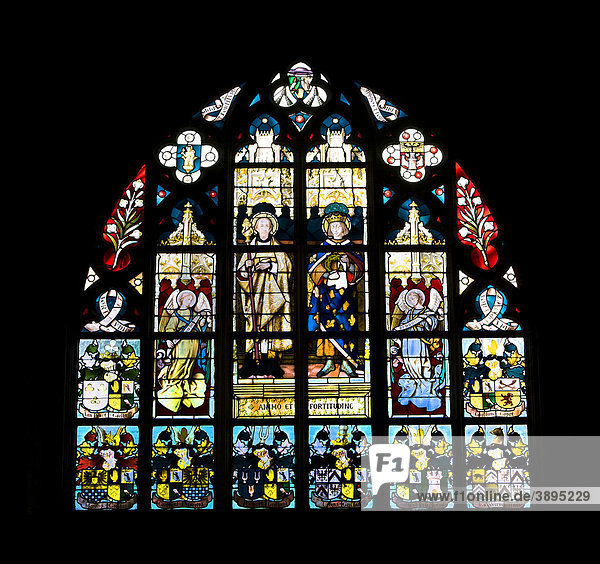 Kirchenfenster der Liebfrauenkathedrale  Onze-Lieve-Vrouwekathedraal  CathÈdrale Notre-Dame  Weltkulturerbe der UNESCO  Antwerpen  Flandern  Belgien  Europa
