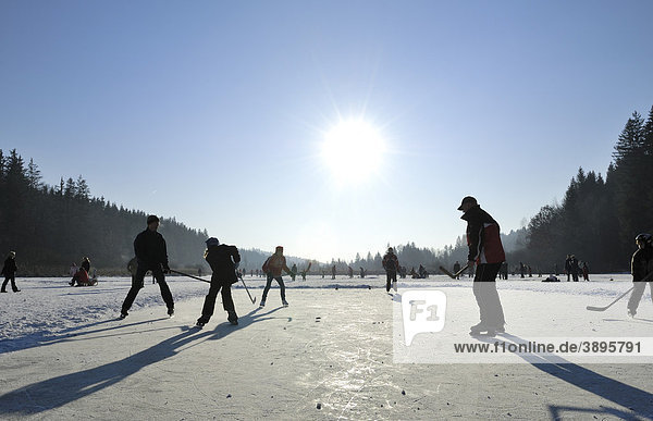Eishockeyspieler auf dem zugefrorenen Deininger Weiher  Oberbayern  Bayern  Deutschland  Europa