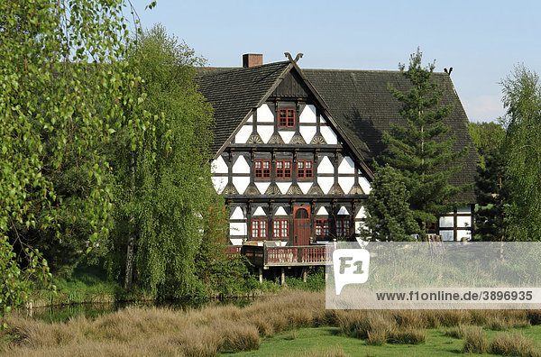 Mühlenmuseum  Gifhorn  Niedersachsen  Deutschland  Europa