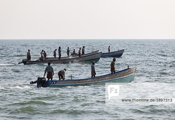 Fischer in Fischerbooten auf Meer  Malabarküste  Malabar  Kerala  Südindien  Indien  Asien