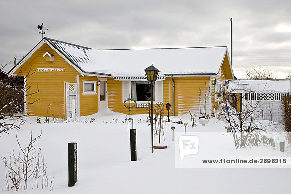 Gelbes Holzhaus in einem schneebedeckten Schrebergarten  Dänemark  Europa Holzhaus