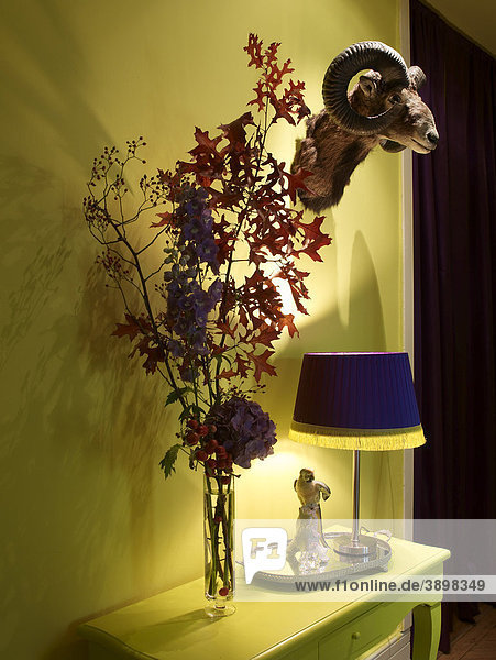 Decorative side table under hunter's trophy  modern colors