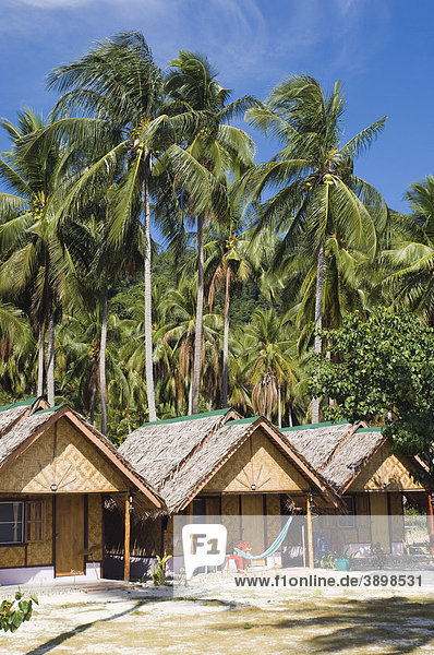 Bungalow hotel under coconut palms  Ko Hai or Koh Ngai island  Trang  Thailand  Asia