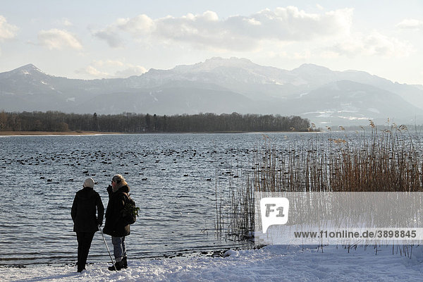 Two people standing on the shore of Lake Chiemsee  Chiemgau  Upper Bavaria  Germany  Europe
