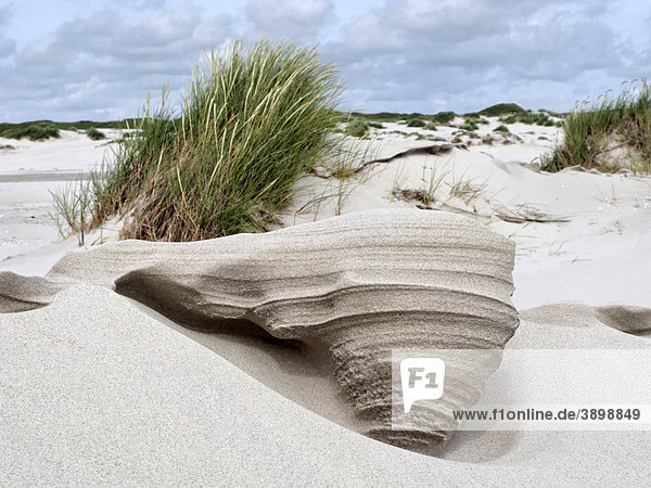 Vom Wind geformte Sandskulpturen in Sanddünen  Insel Amrum  Schleswig-Holstein  Deutschland  Europa