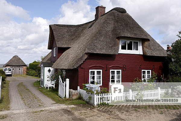 Friesisches Haus  Baujahr 1858  und Garten  Nebel  Insel Amrum  Schleswig-Holstein  Deutschland  Europa
