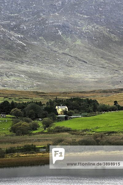 Connemara Landschaft  Bauernhaus  County Galway  Republik Irland  Europa