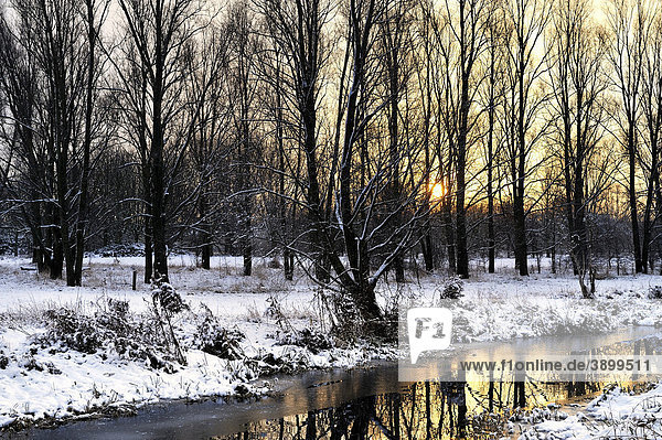 Snowy landscape  Cornmill Meadow  England  United Kingdom  Europe