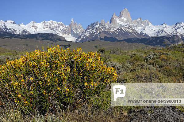 Cerro Torre und Fitz Roy  El Chalten  Anden  Patagonien  Argentinien  Südamerika