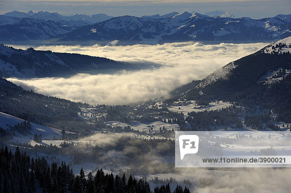 Nebel im Tal  Tannheimer Tal  Tirol  Österreich  Europa