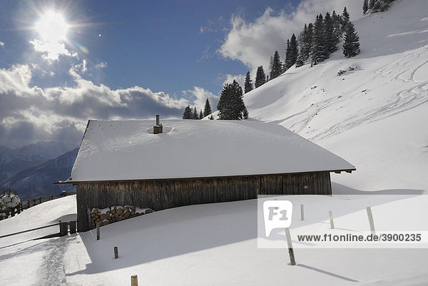 Berghütte in Schneelandschaft  Sudelfeld  bayerische Voralpen  Bayern  Deutschland  Europa